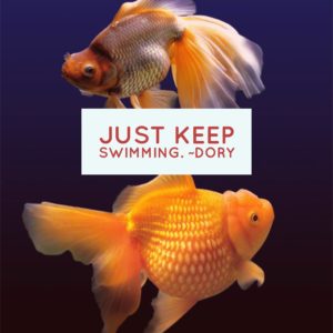 It’s Monday – Just Keep Swimming