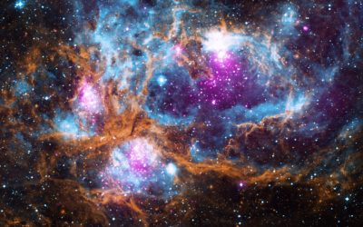 Nebula Tasting Part 2 – Magic & Might