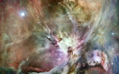 Nebula Tasting Part 4 – Mechs and Biohacking